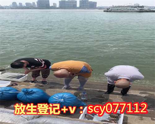 杭州哪里能放生红鲤鱼，杭州灵隐寺己亥腊月十五放生法会圆满