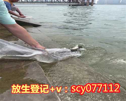 黑龙江做人流后可以放生吗，黑龙江市放生护生协会官网，黑龙江哪里放生鱼最