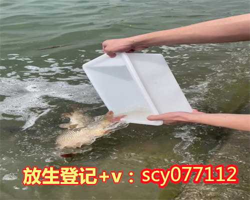 惠州放生仪轨功德,惠州放生泥鳅的含义是什么意思,惠州最靠谱的放生组织