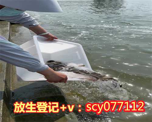 滁州放生鱼品种