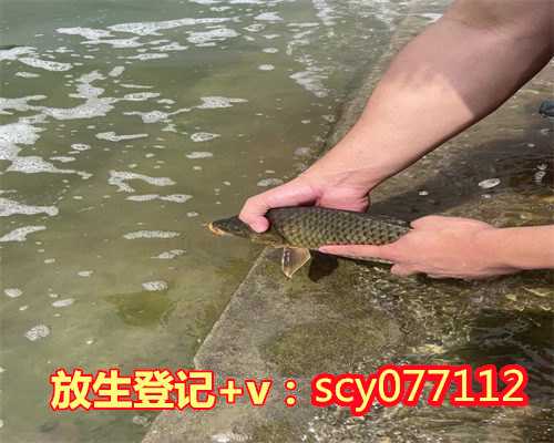 青海公园可以放生蛙吗，第九届青海湖裸鲤增殖放流暨观鱼放生节在刚察举行