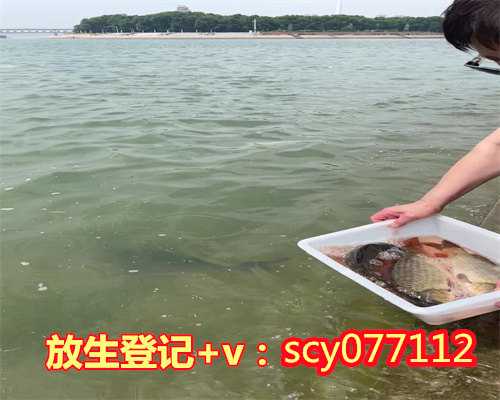 郑州哪里适合放生鹌鹑，郑州市民在黄河边拍到鳄鱼或有人放生