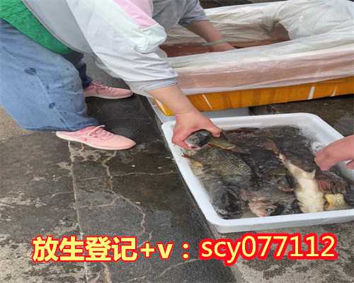 贵州公园放生淡水鱼，