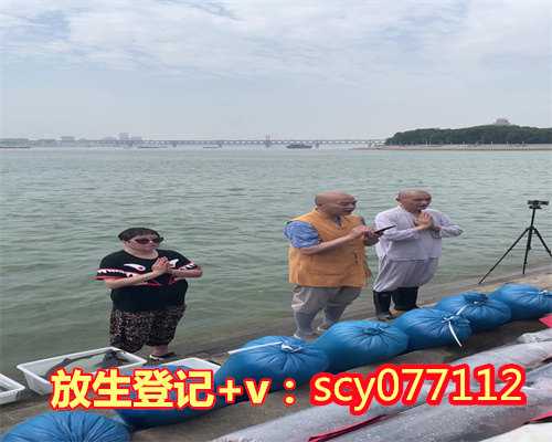 北京放生小鱼在哪里，500斤鱼被违规放生北京潮白河第二天大量死亡
