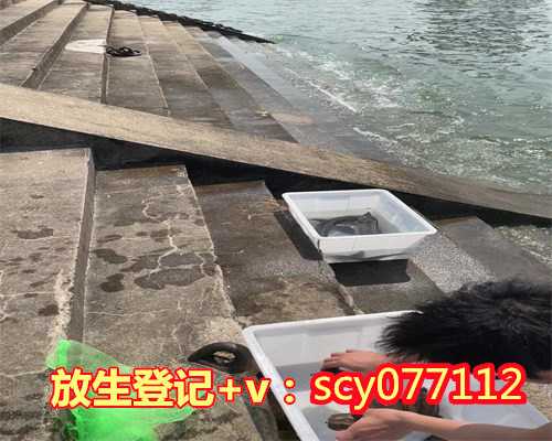 大连哪里适合放生蚬子，如孝法师：关于“大连传统文化同道会议“的开示