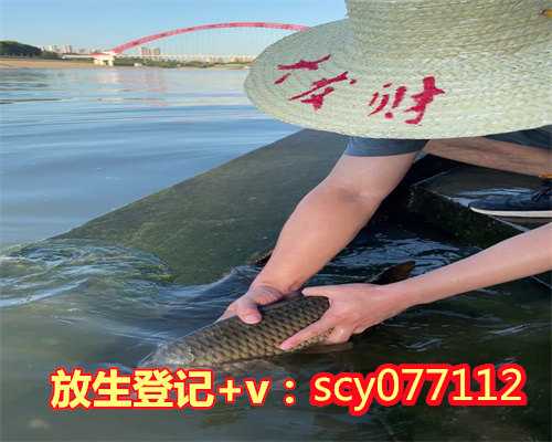 郑州放生金鱼在哪里，郑州龙湖疑有人放生两只鳄鱼