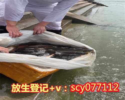 漳州放生的重要性,漳州哪里可以放生蛇的,漳州市场买的甲鱼放生能活吗