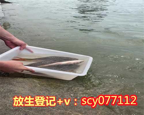 三明松江放生池，三明何地可以放生鱼苗，三明三明驿区放生的地方