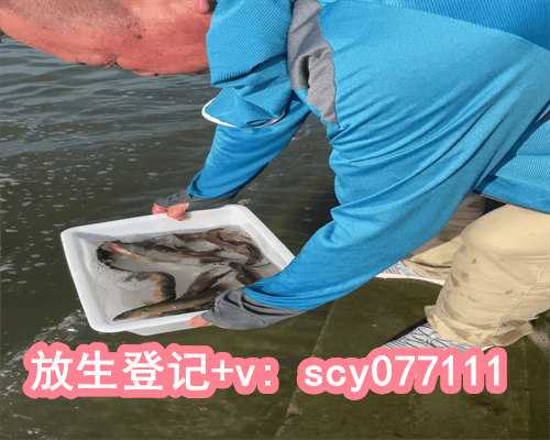 哈尔滨市放生护生协会地址，家养十年的乌龟在哈尔滨的水库里能放生么？