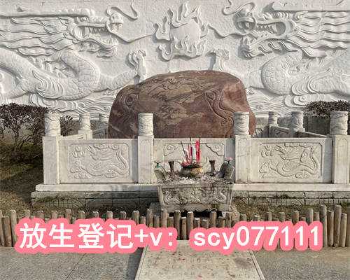 北京代放生地点2022，北京佛教的一瞥