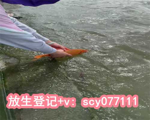 天津允许放生的水域在哪儿，天津佛教界持续助力防控新冠肺炎疫情纪实
